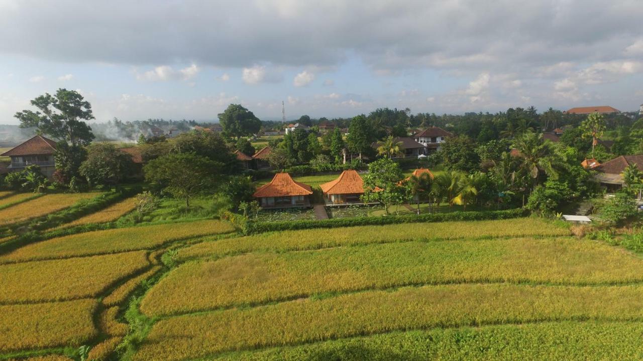 Griya Kcb Villa Ubud Mas  Экстерьер фото