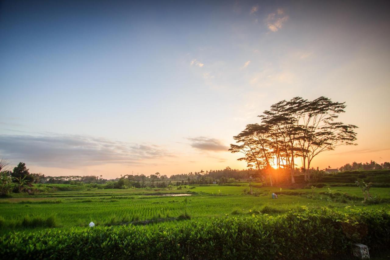 Griya Kcb Villa Ubud Mas  Экстерьер фото