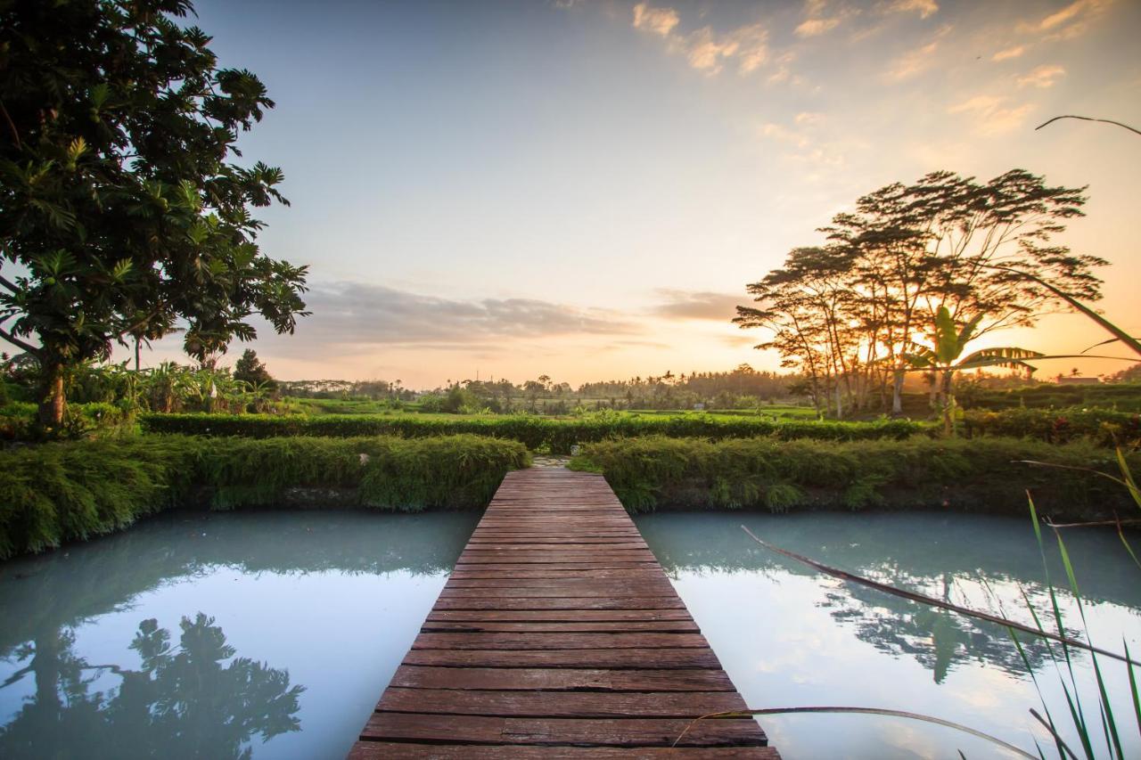 Griya Kcb Villa Ubud Mas  Экстерьер фото