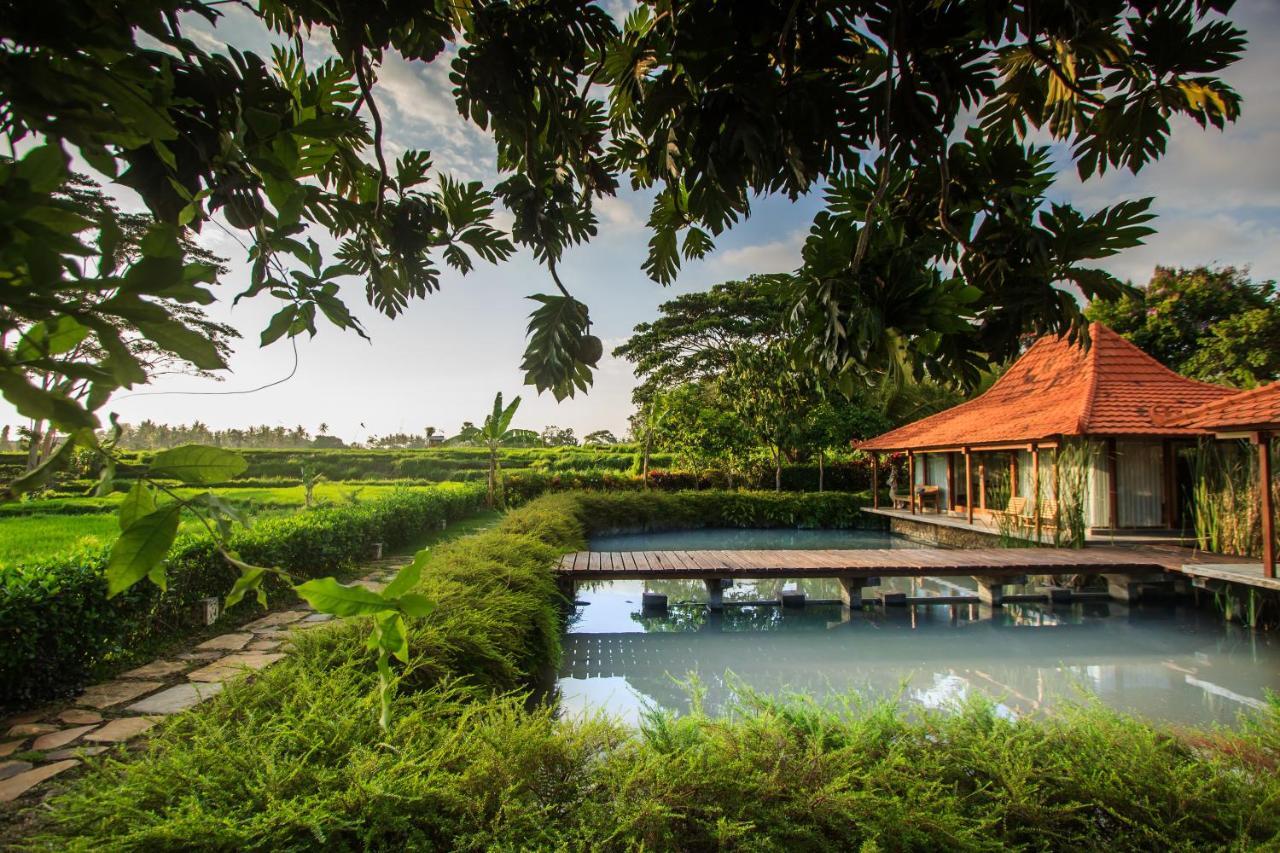 Griya Kcb Villa Ubud Mas  Экстерьер фото